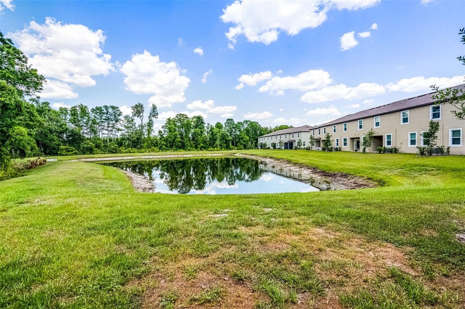 17677 NECTAR FLUME DR, LAND O LAKES, FL, 34637