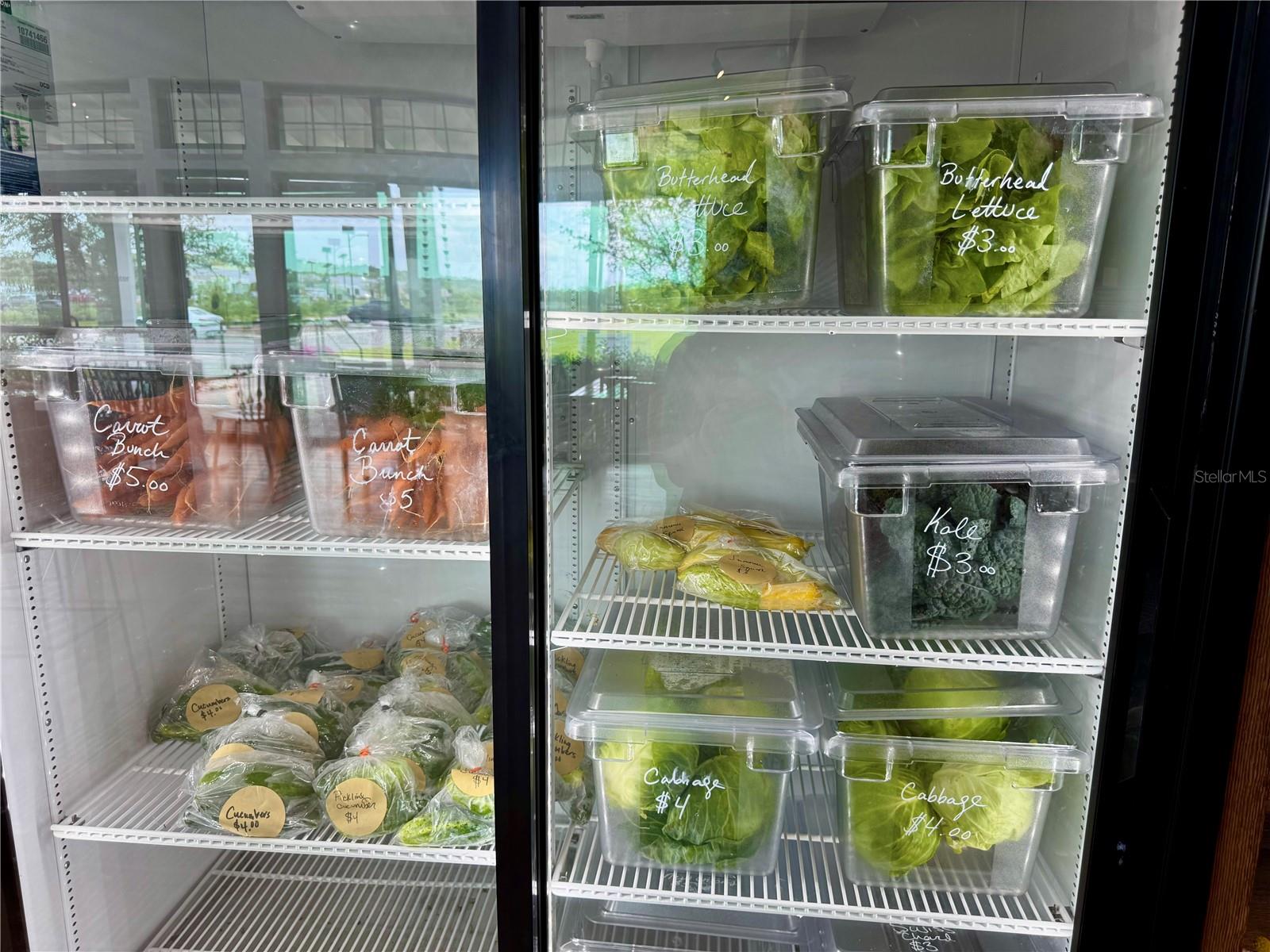 17677 NECTAR FLUME DR, LAND O LAKES, FL, 34637