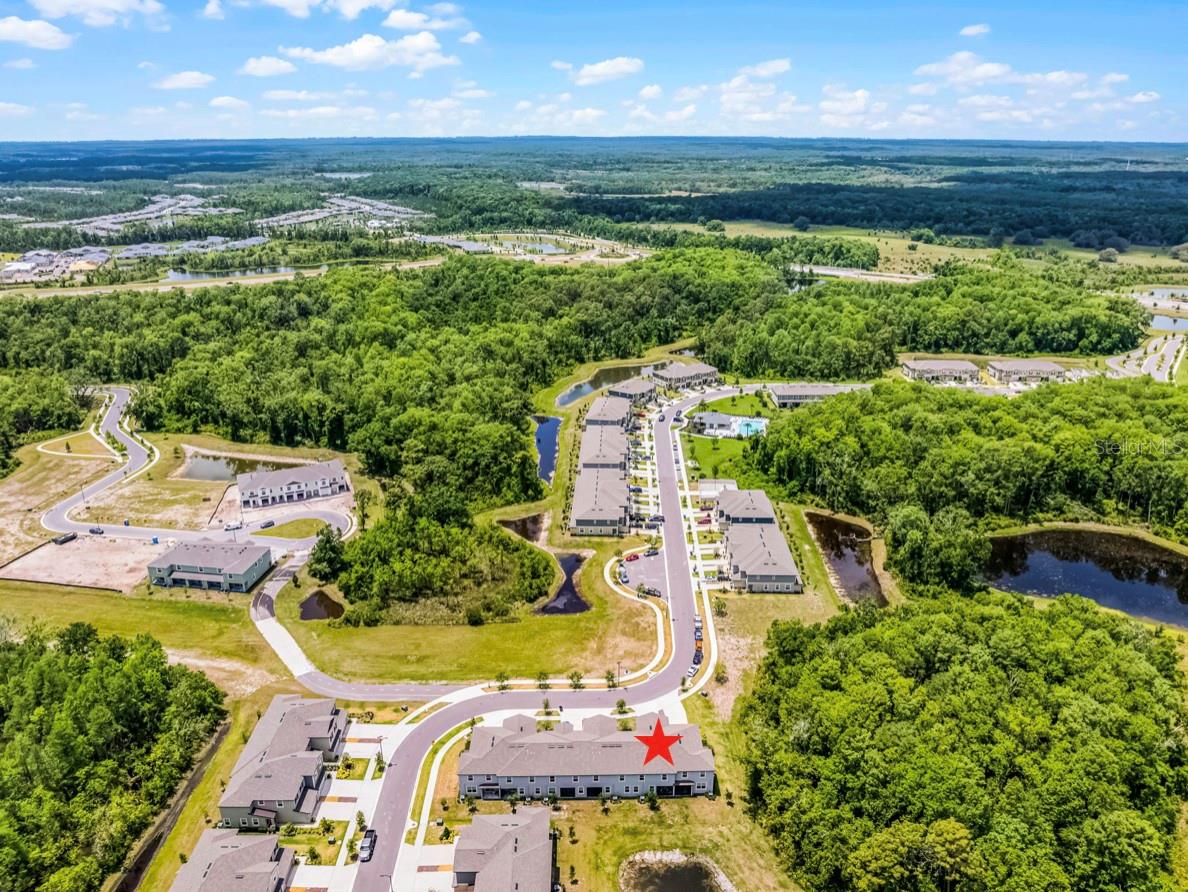 17677 NECTAR FLUME DR, LAND O LAKES, FL, 34637