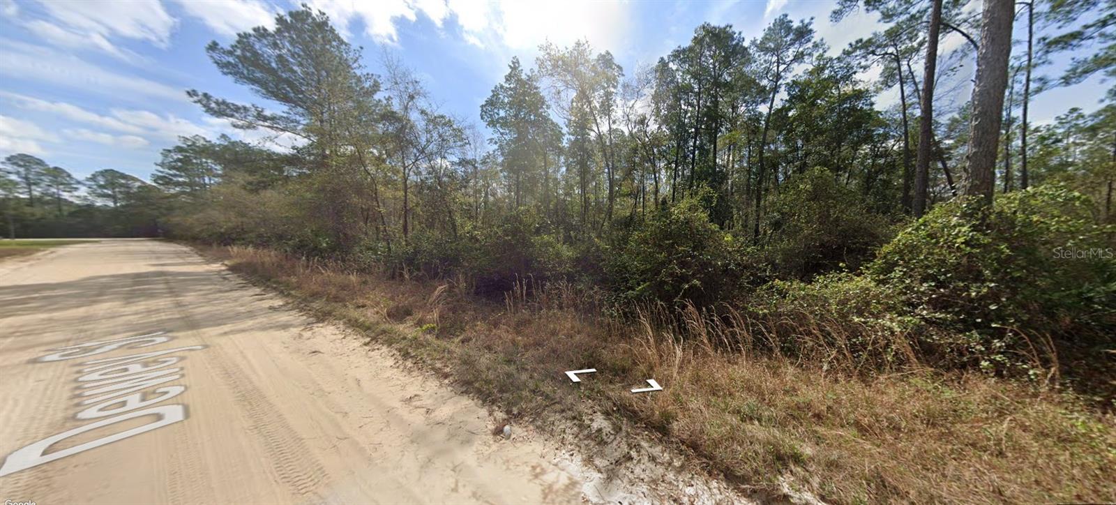 BLOCK 246 LOT 3, INTERLACHEN, FL, 32148