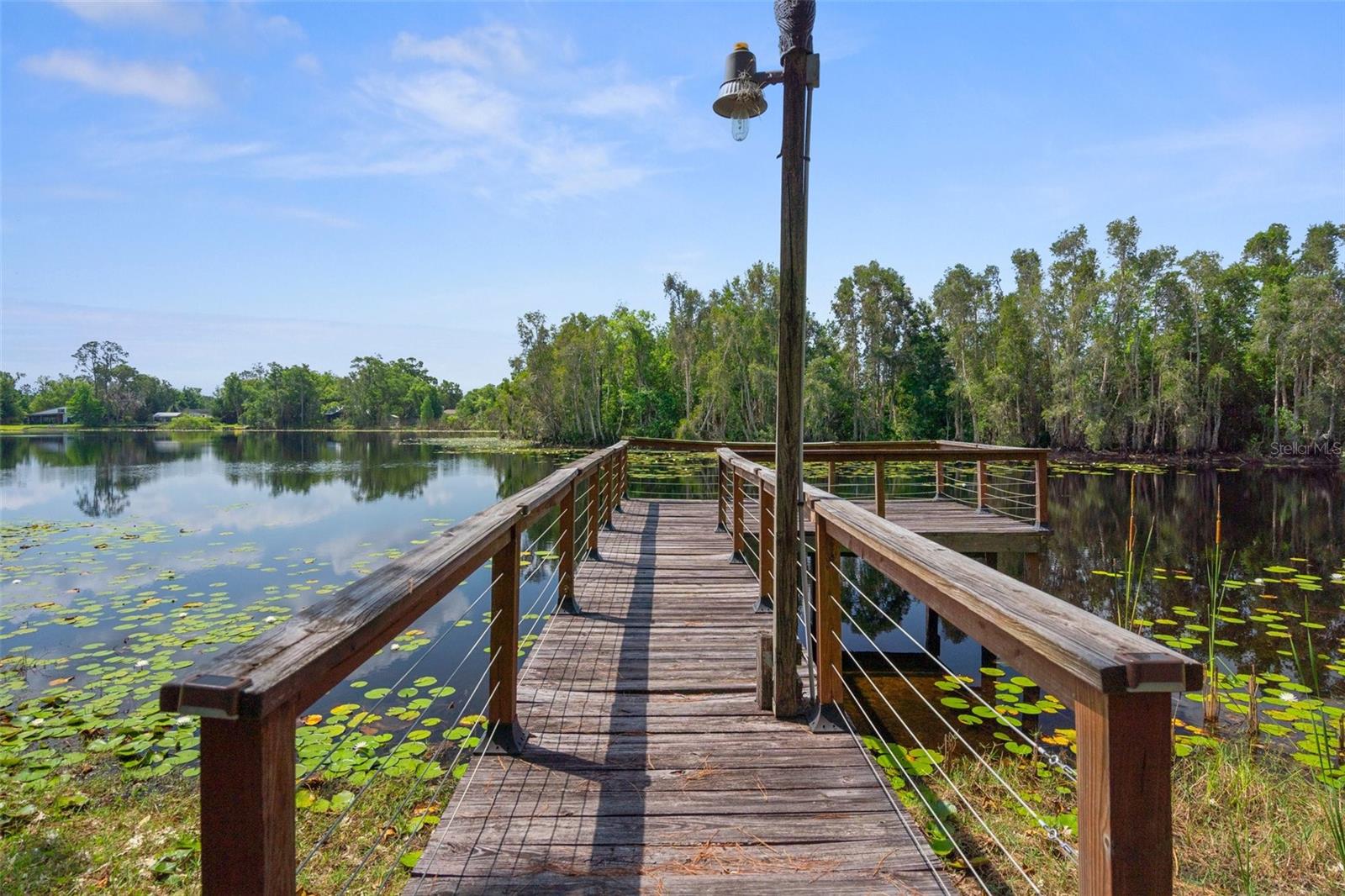 6501 BARCELLONA RD, LAND O LAKES, FL, 34637