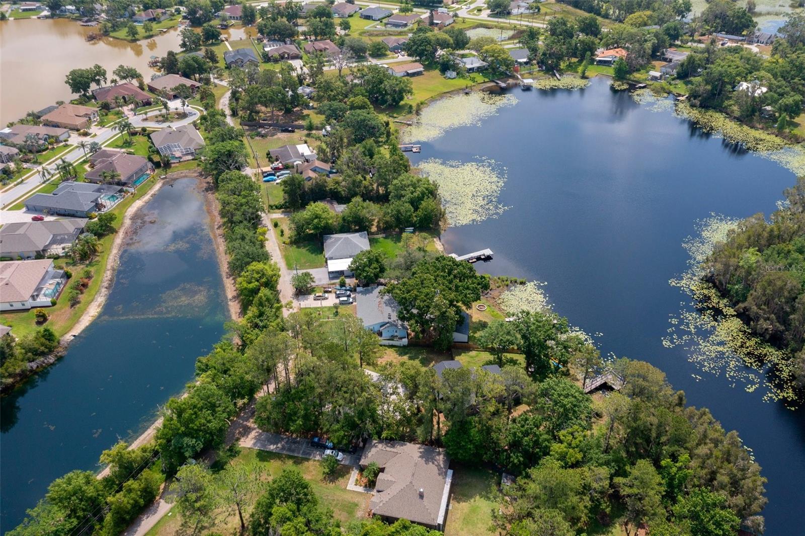 6501 BARCELLONA RD, LAND O LAKES, FL, 34637