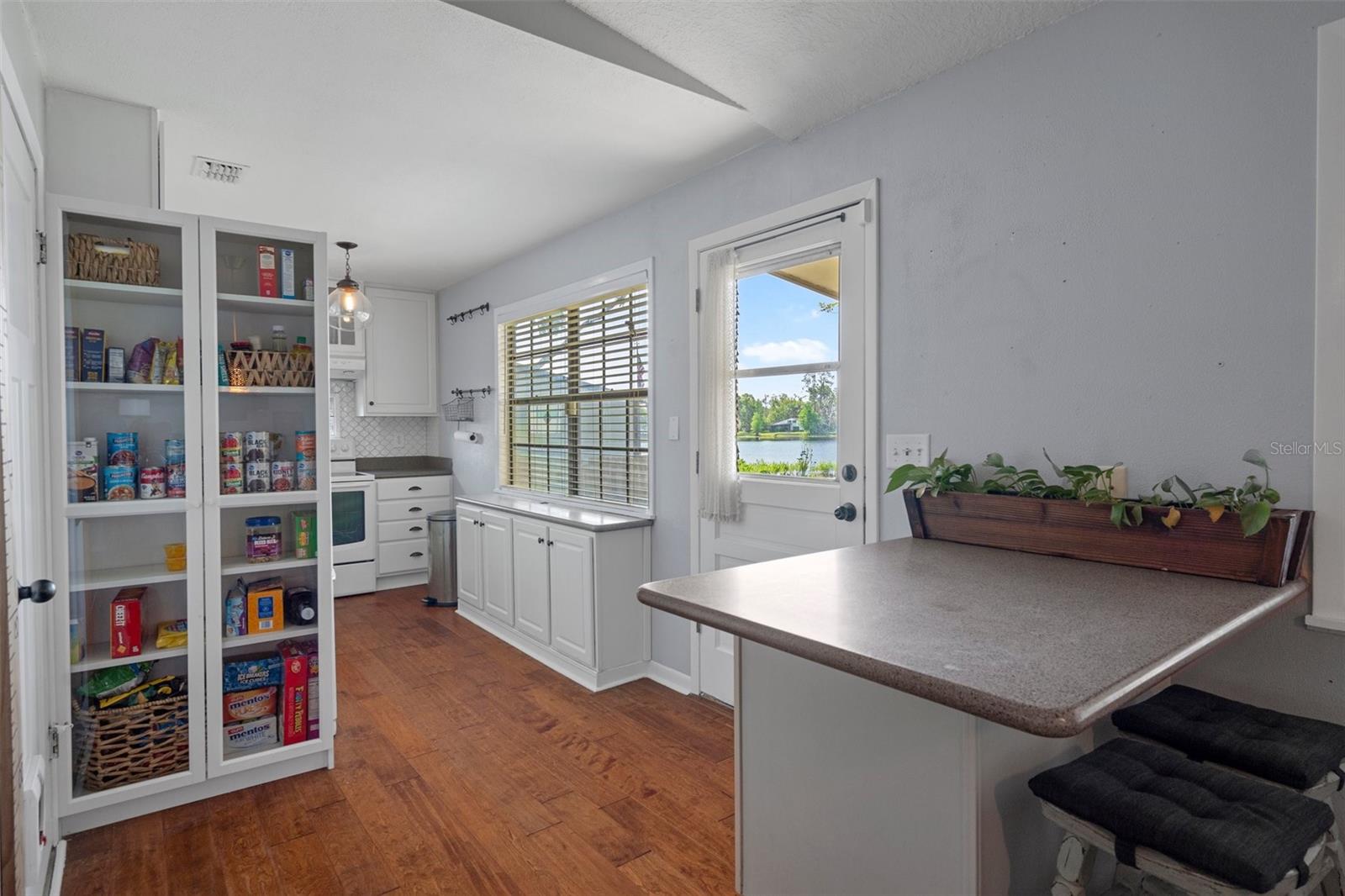 6501 BARCELLONA RD, LAND O LAKES, FL, 34637