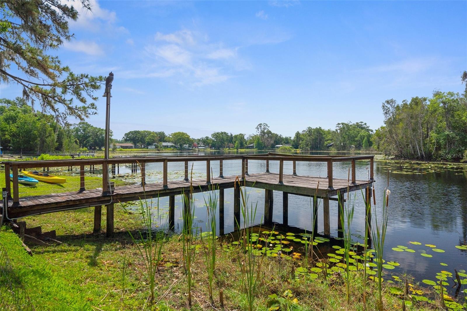 6501 BARCELLONA RD, LAND O LAKES, FL, 34637