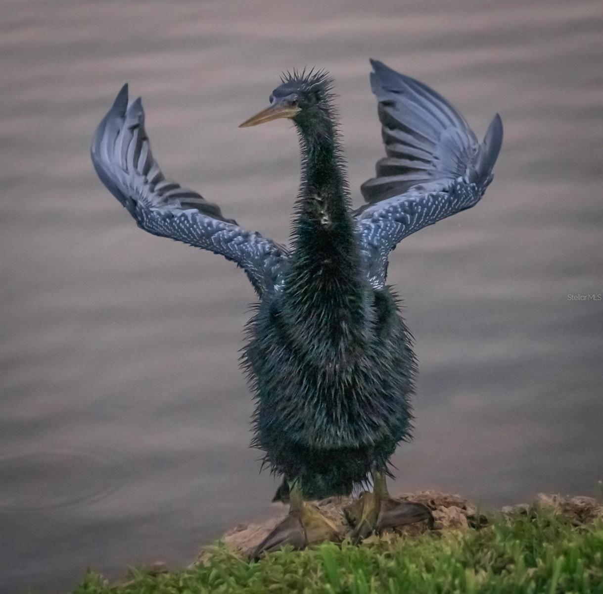 5920 80TH ST N #103, ST PETERSBURG, FL, 33709