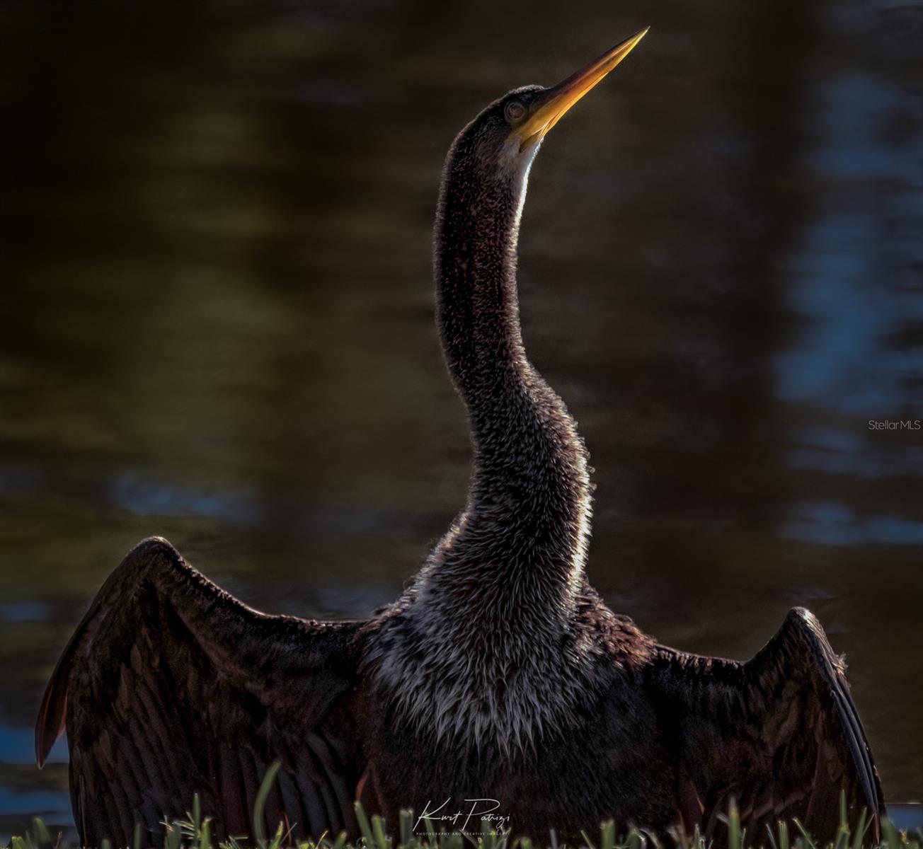 5920 80TH ST N #103, ST PETERSBURG, FL, 33709