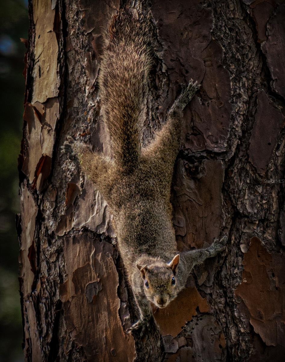 5920 80TH ST N #103, ST PETERSBURG, FL, 33709