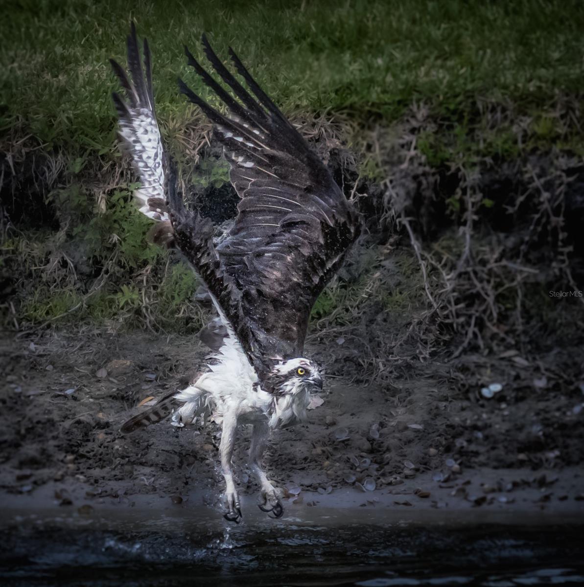 5920 80TH ST N #103, ST PETERSBURG, FL, 33709