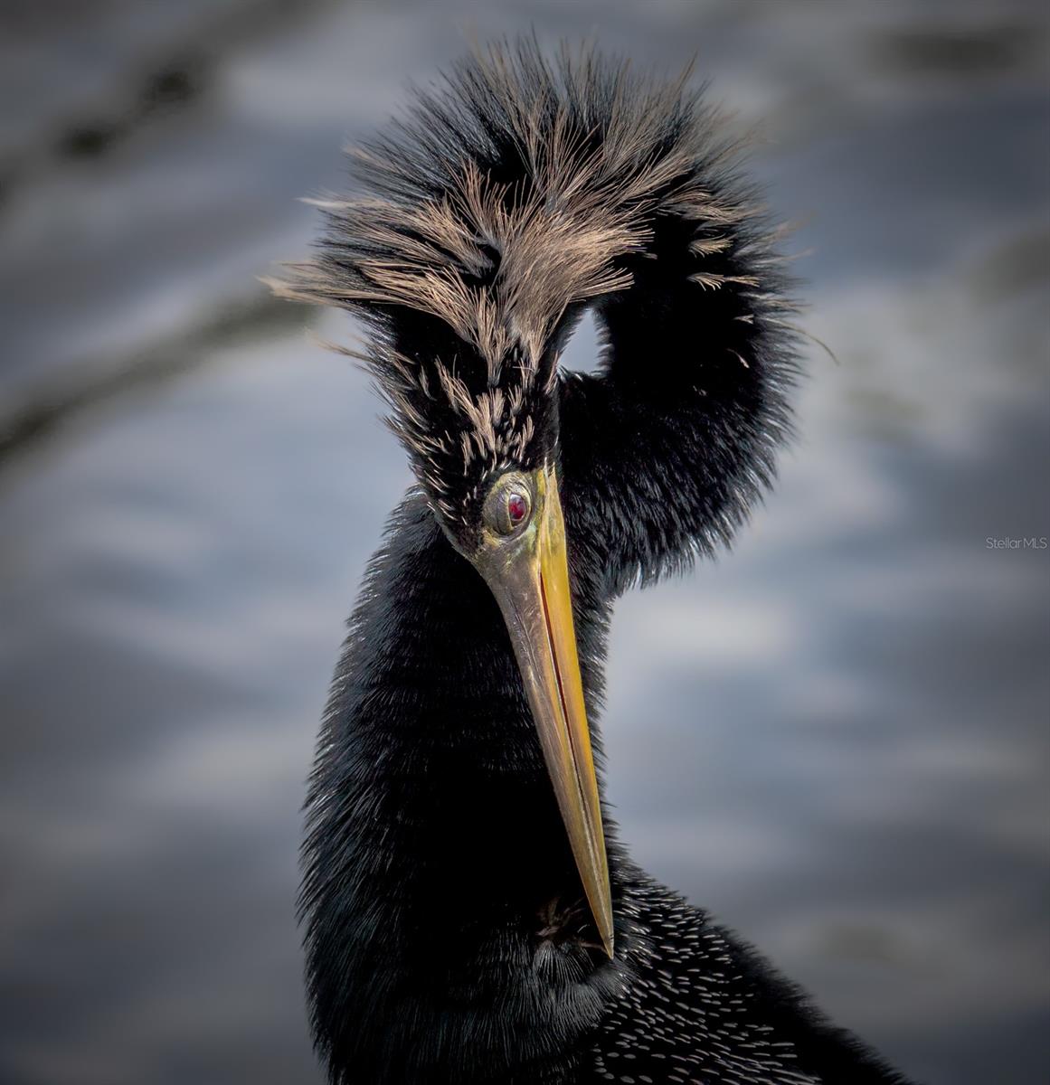 5920 80TH ST N #103, ST PETERSBURG, FL, 33709