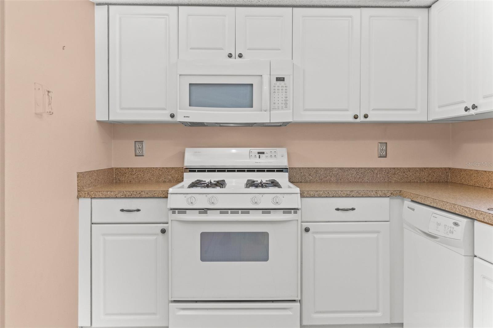 5920 80TH ST N #103, ST PETERSBURG, FL, 33709