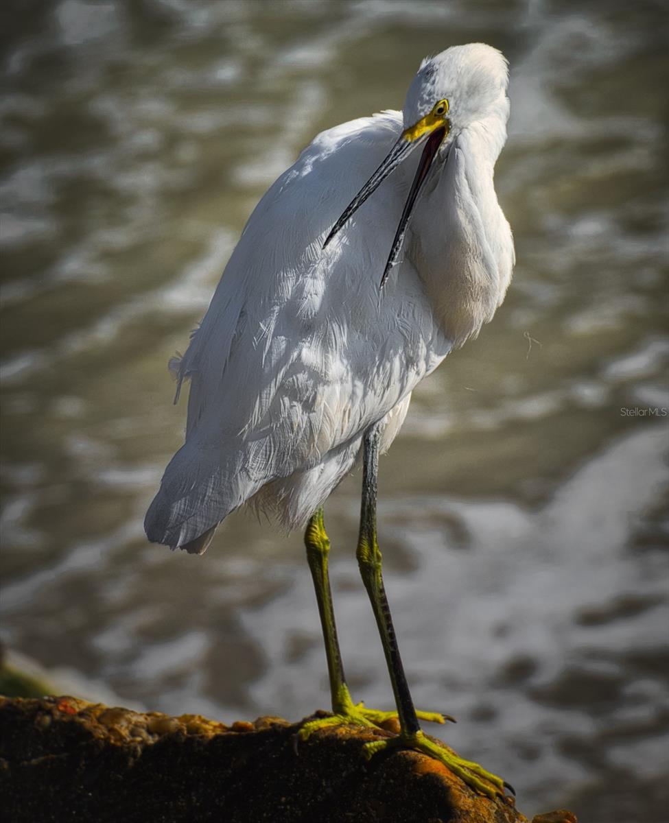 5920 80TH ST N #103, ST PETERSBURG, FL, 33709