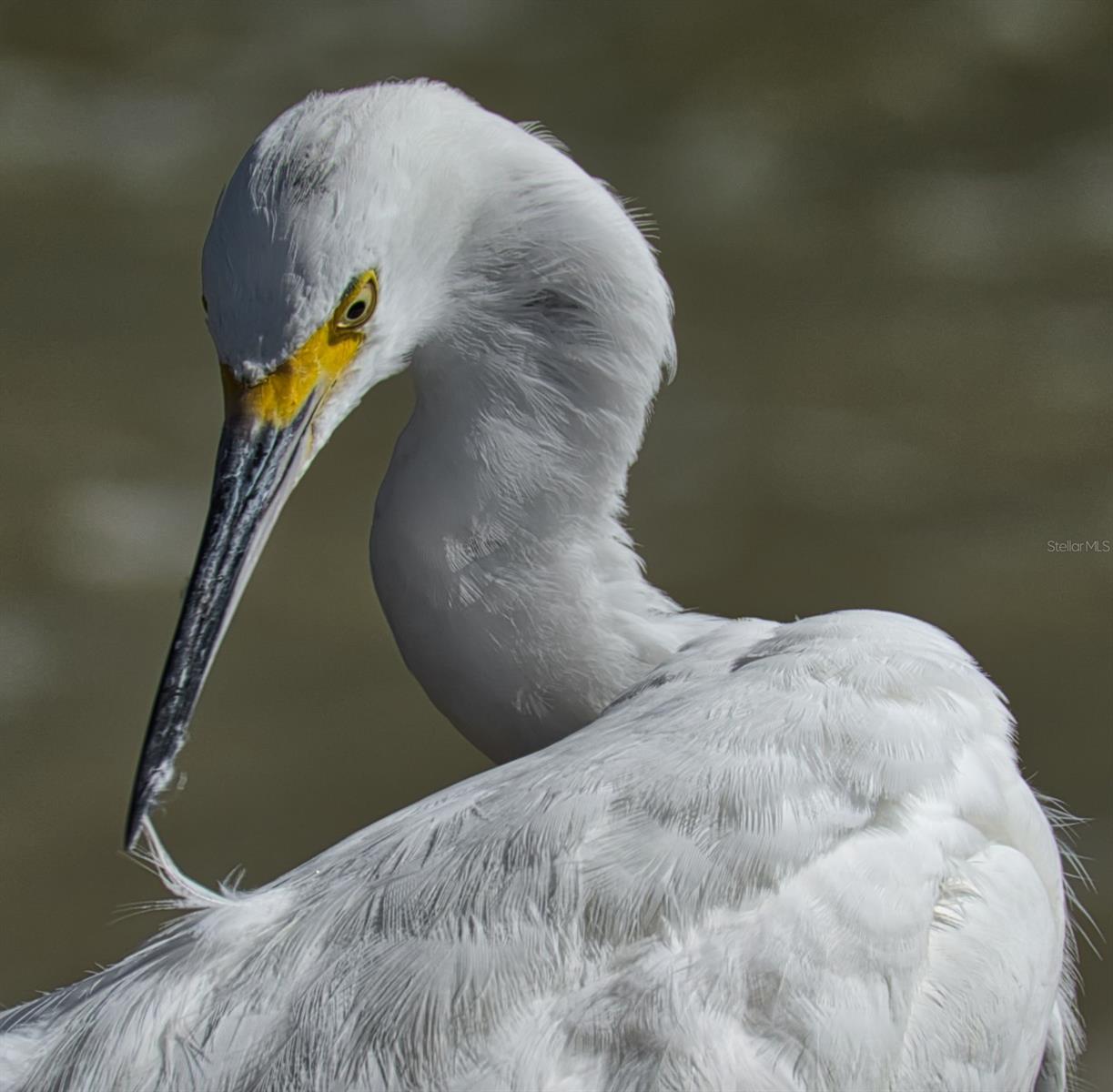 5920 80TH ST N #103, ST PETERSBURG, FL, 33709