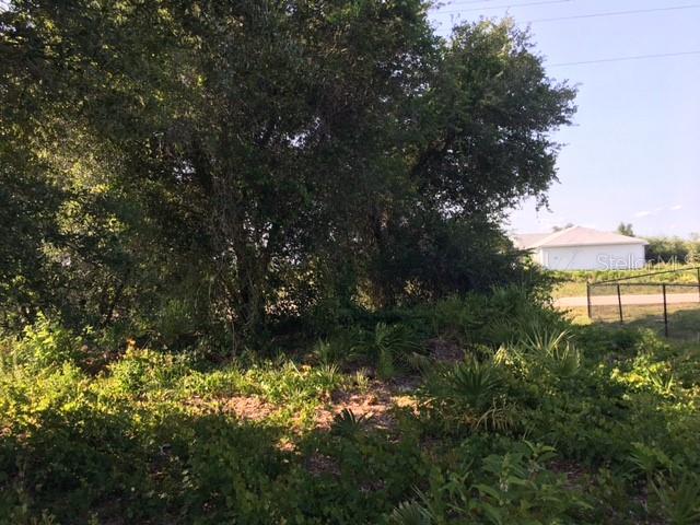 2705 59TH ST W, LEHIGH ACRES, FL, 33971