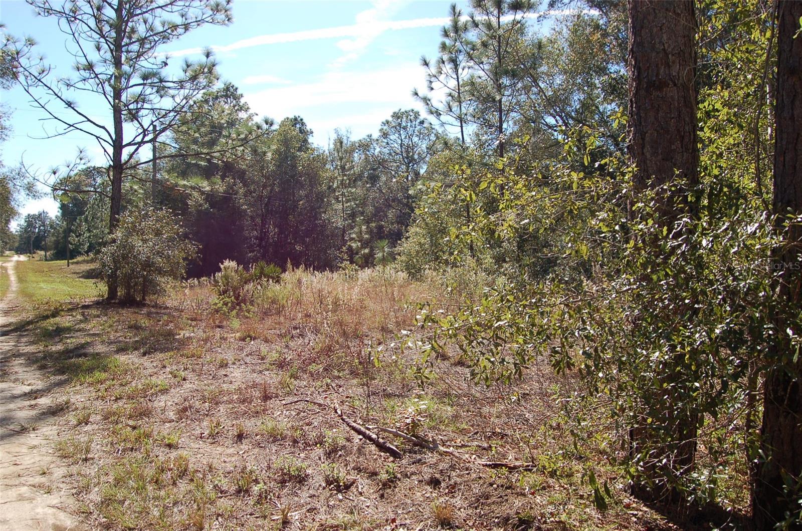 TDB SW 29 PL, OCALA, FL, 34481