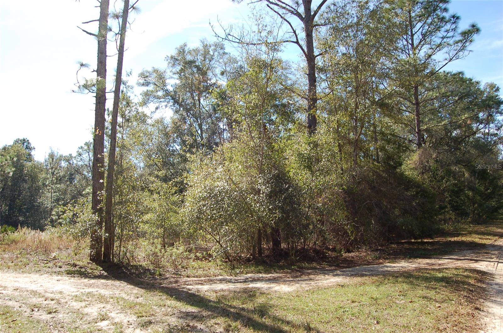 TDB SW 29 PL, OCALA, FL, 34481