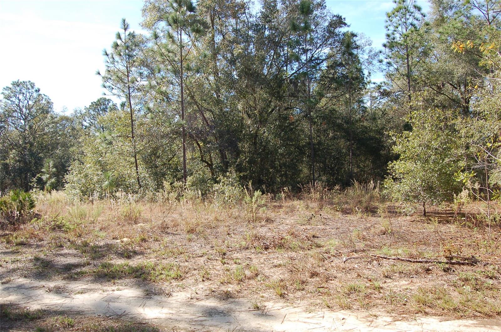 TDB SW 29 PL, OCALA, FL, 34481