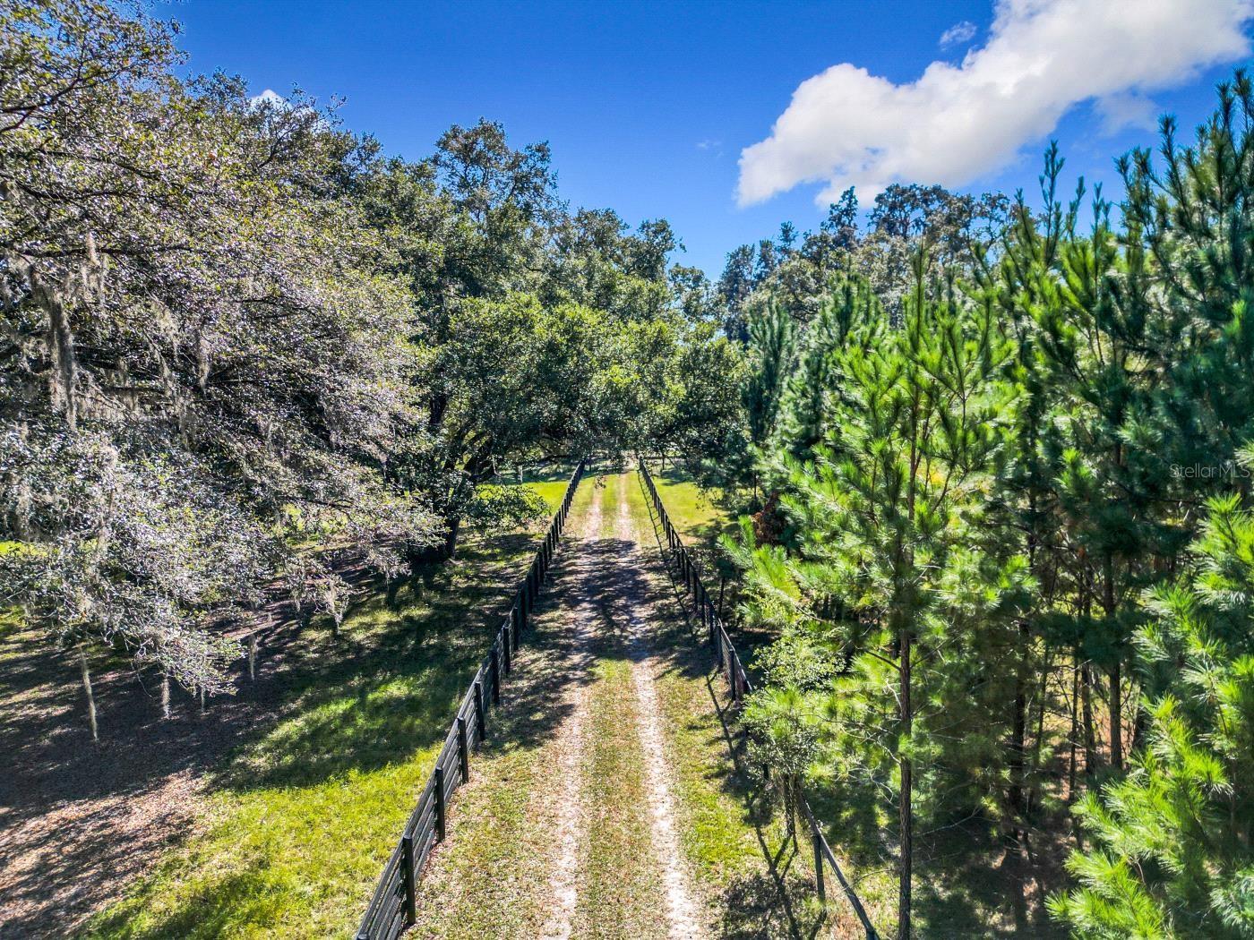 11950 NW 100TH ST, OCALA, FL, 34482