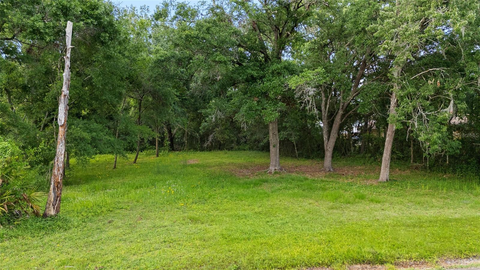 2510 VICTARRA CIR, LUTZ, FL, 33559