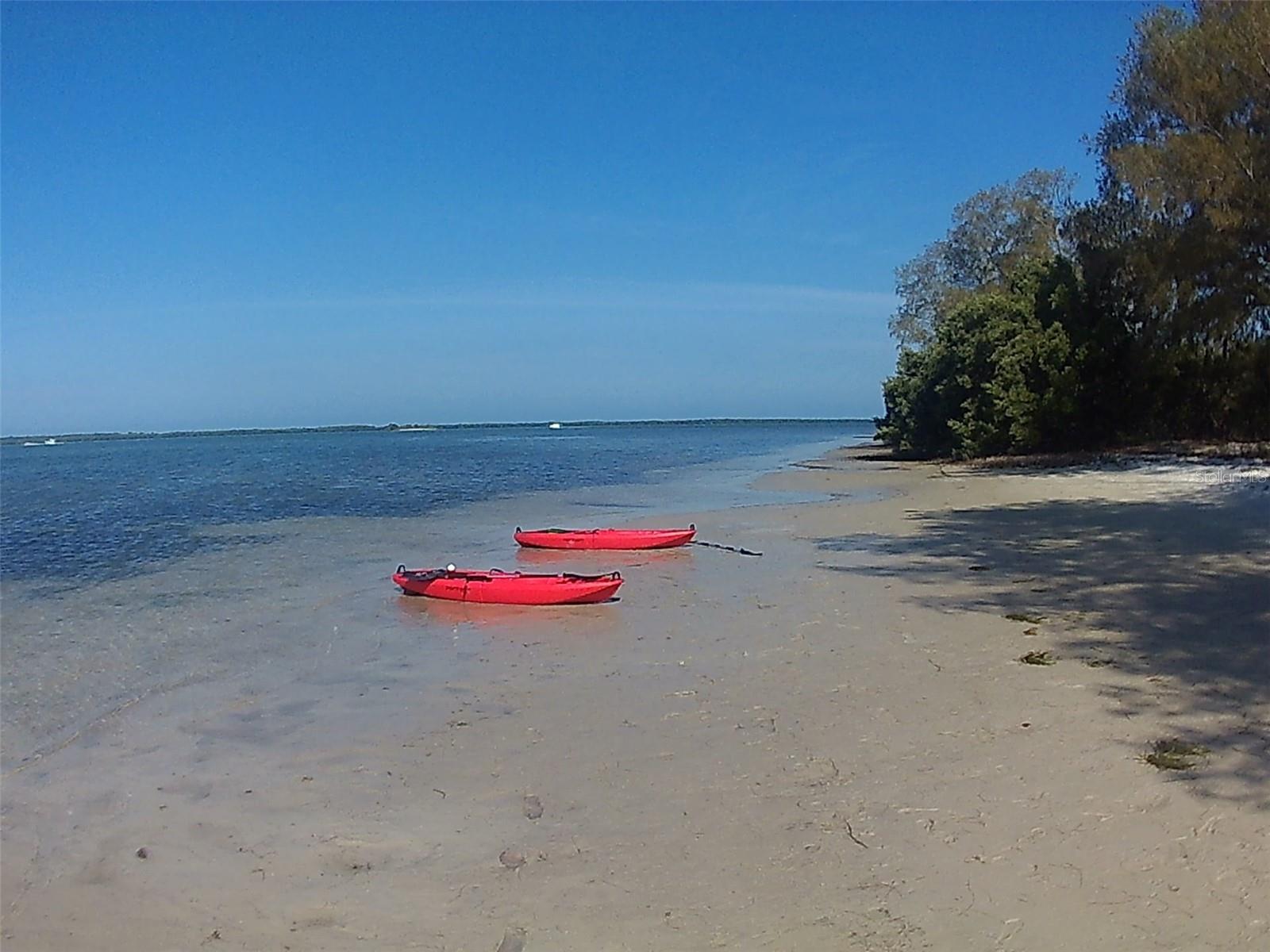 Kayak out to one of the islands from The Dunedin Marina