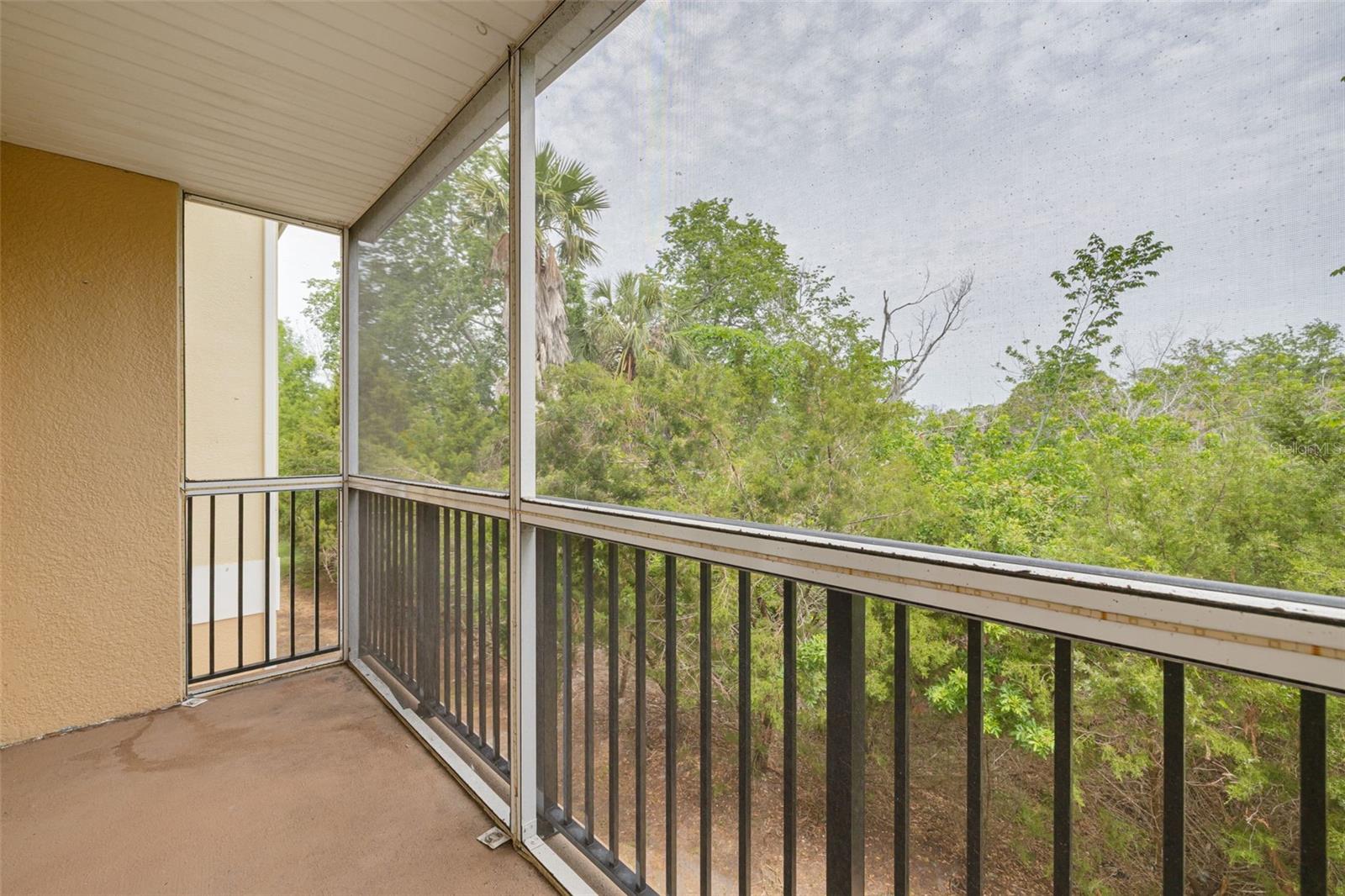 5041 ROYAL PALMS WAY #203, NEW PORT RICHEY, FL, 34652