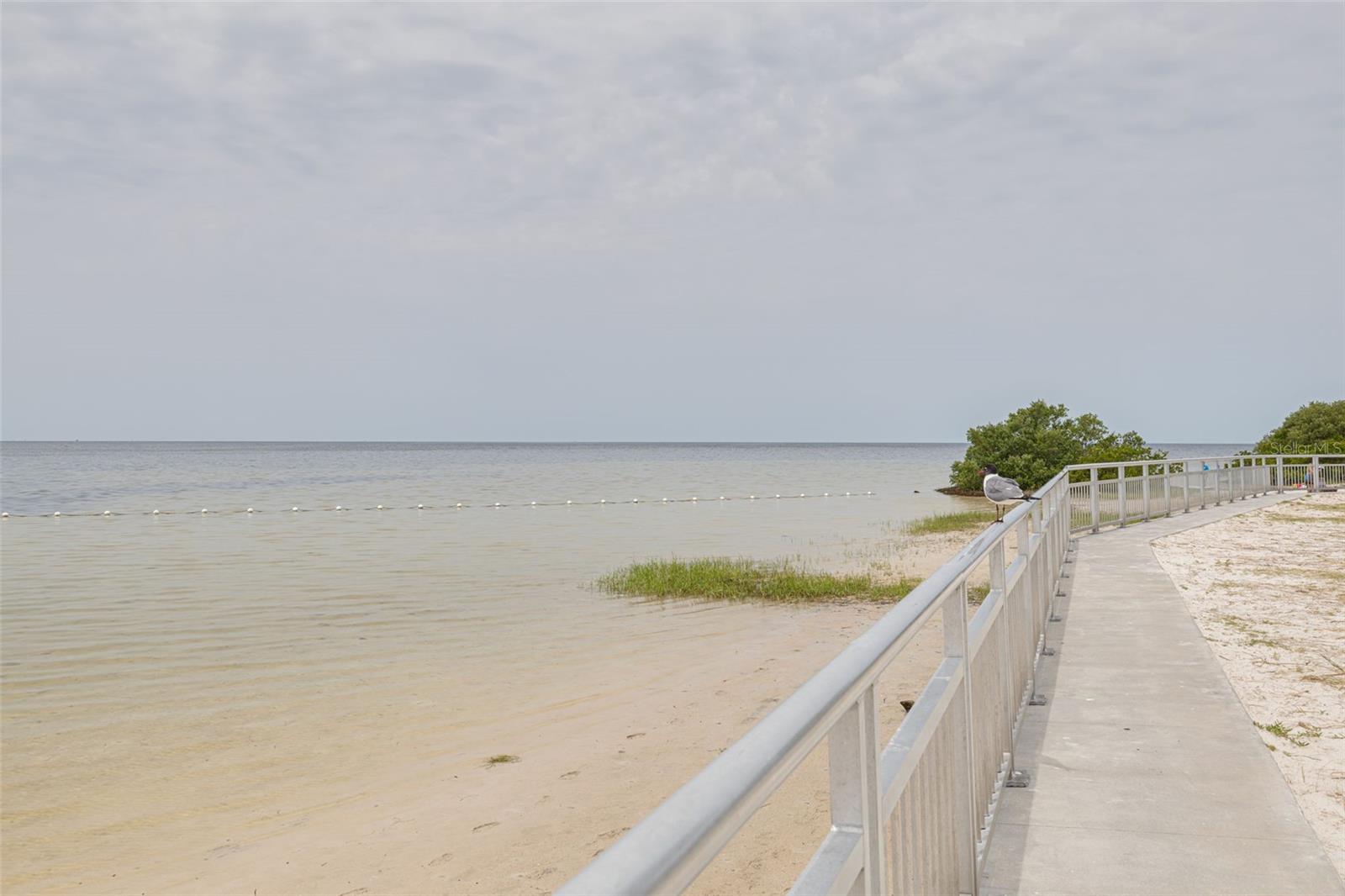 5041 ROYAL PALMS WAY #203, NEW PORT RICHEY, FL, 34652