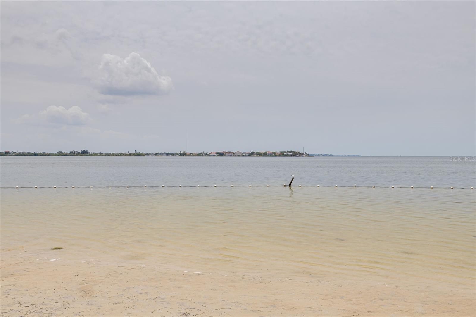 5041 ROYAL PALMS WAY #203, NEW PORT RICHEY, FL, 34652