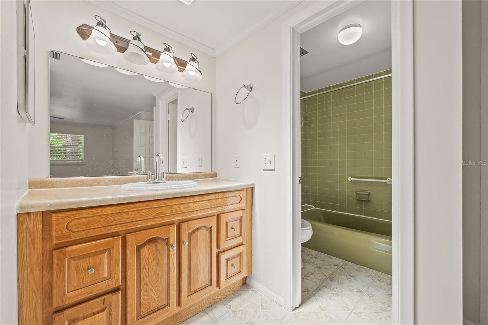 6607 LARIMER DR, TAMPA, FL, 33615