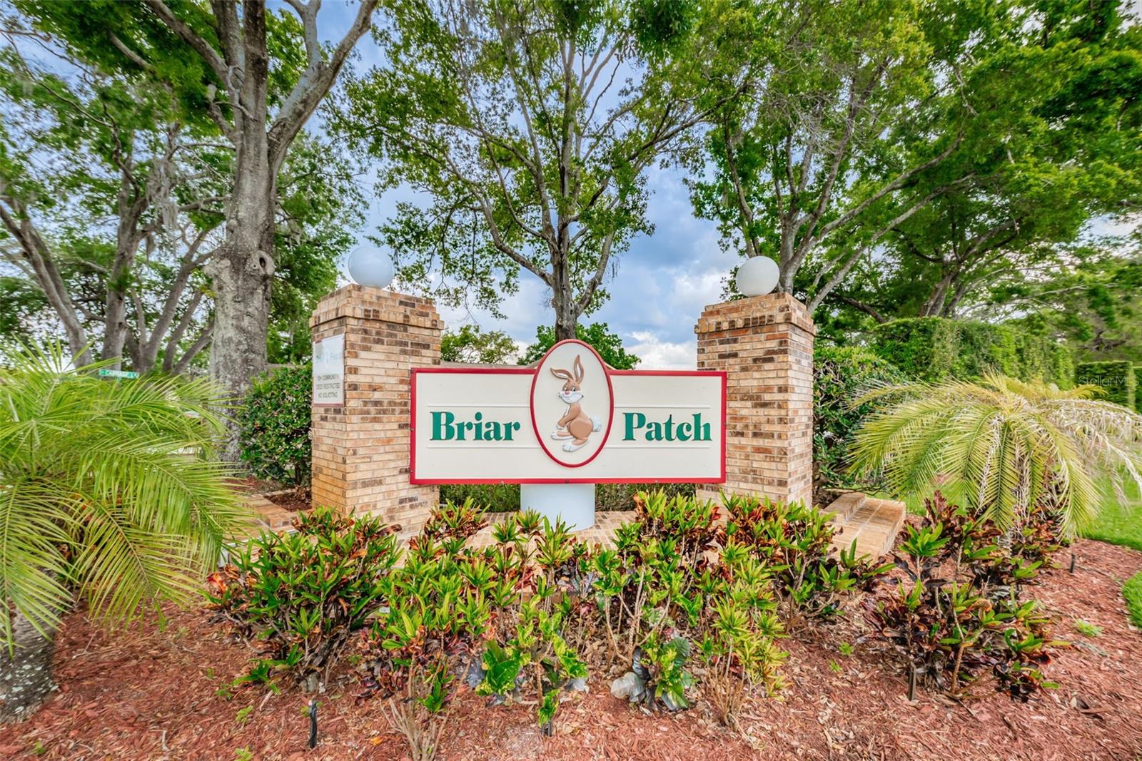 6425 THICKET TRL, NEW PORT RICHEY, FL, 34653