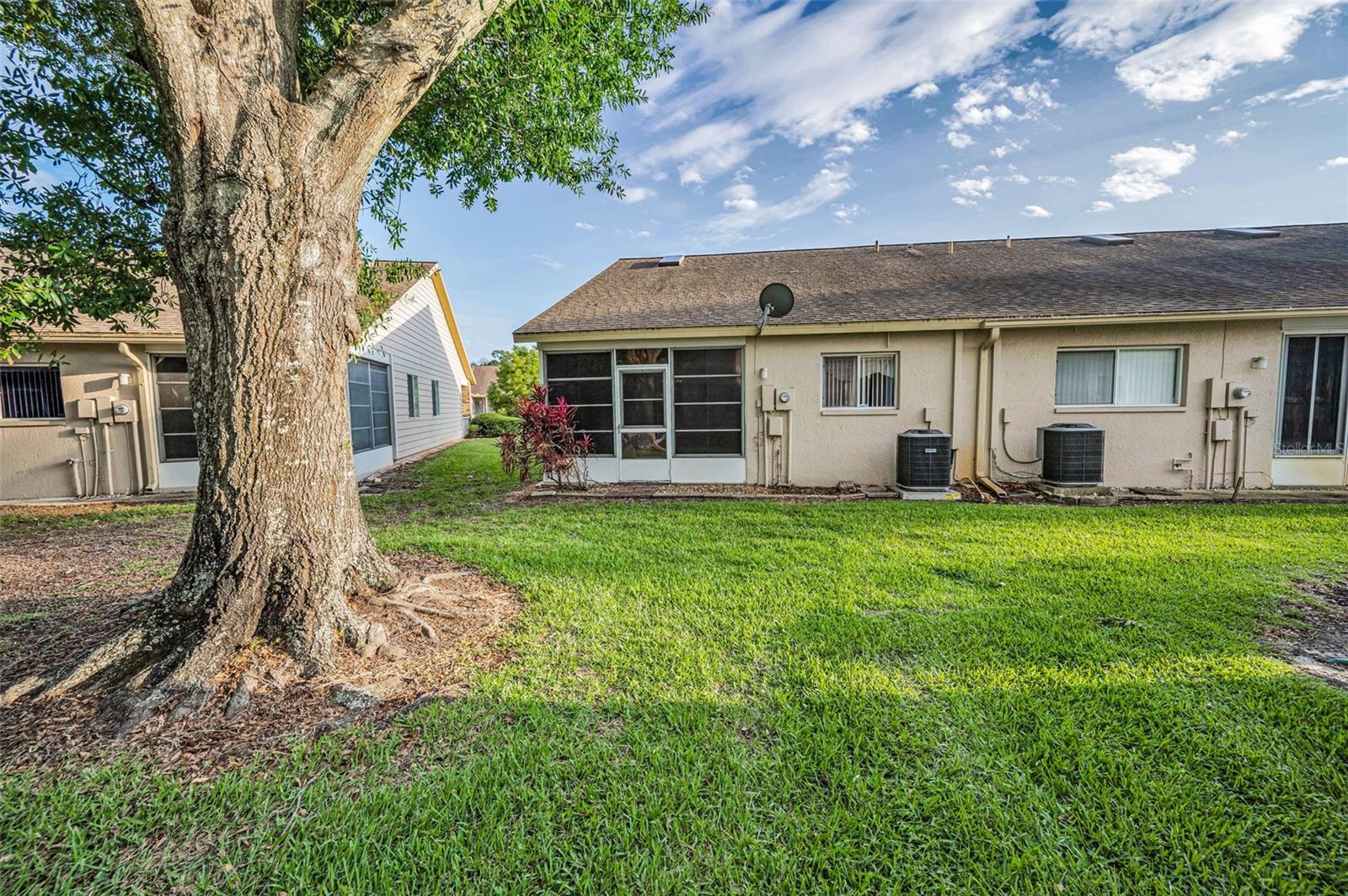 6425 THICKET TRL, NEW PORT RICHEY, FL, 34653