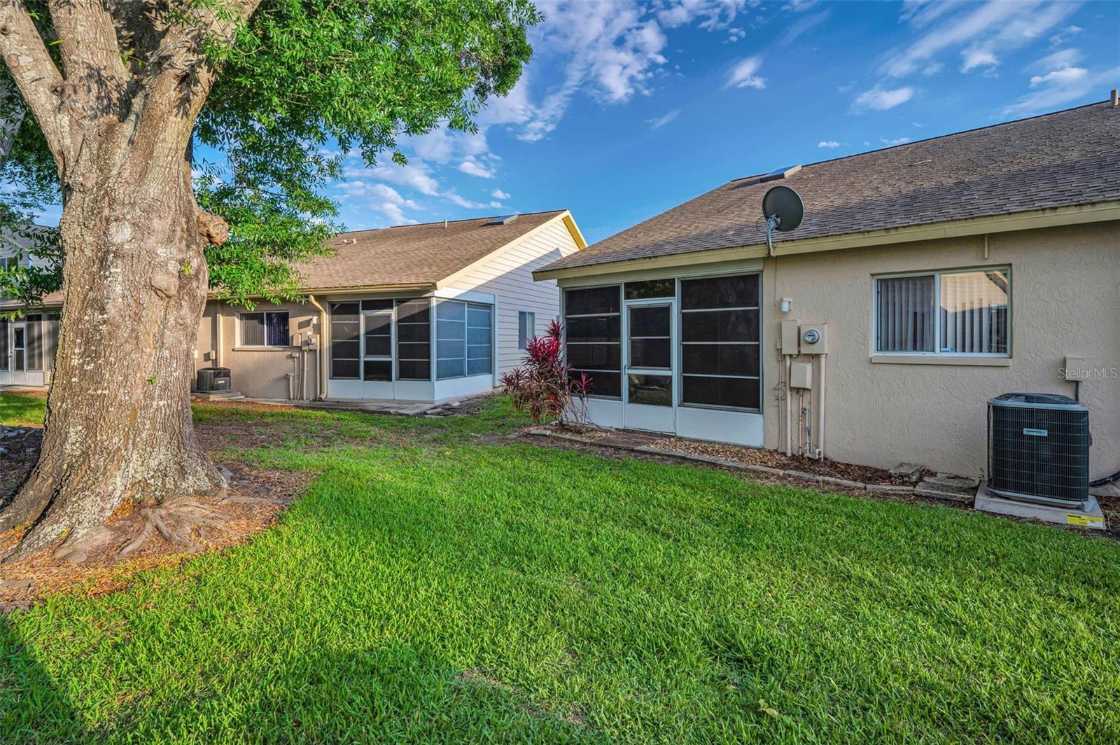 6425 THICKET TRL, NEW PORT RICHEY, FL, 34653