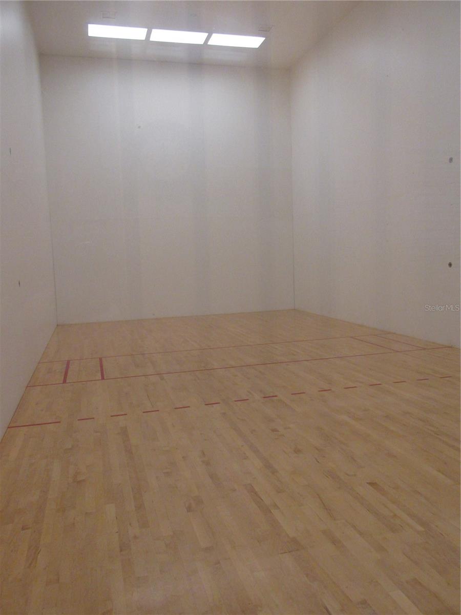 1524 MAXIMILIAN DR, WESLEY CHAPEL, FL, 33543