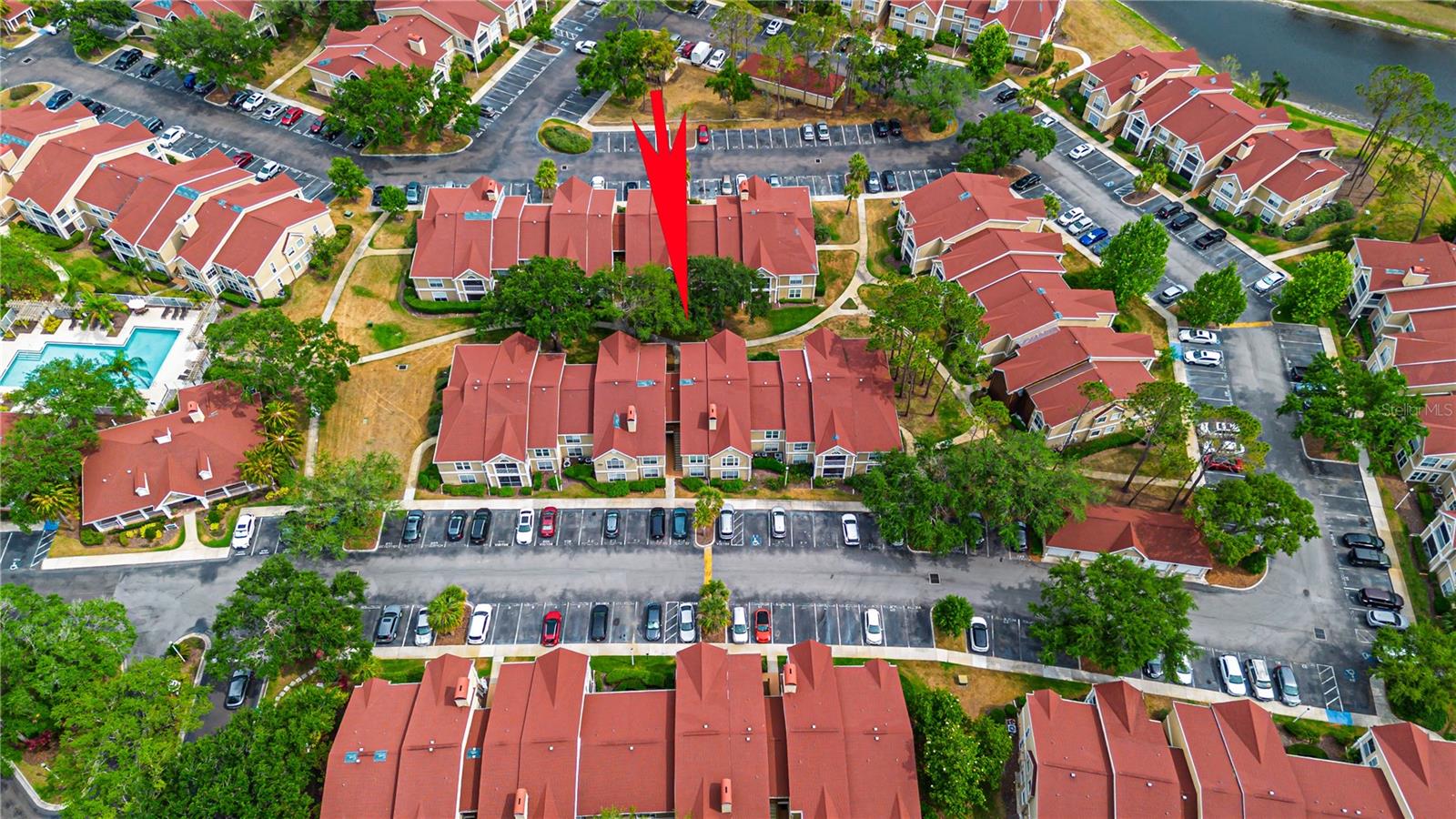 9481 HIGHLAND OAK DR #710, TAMPA, FL, 33647