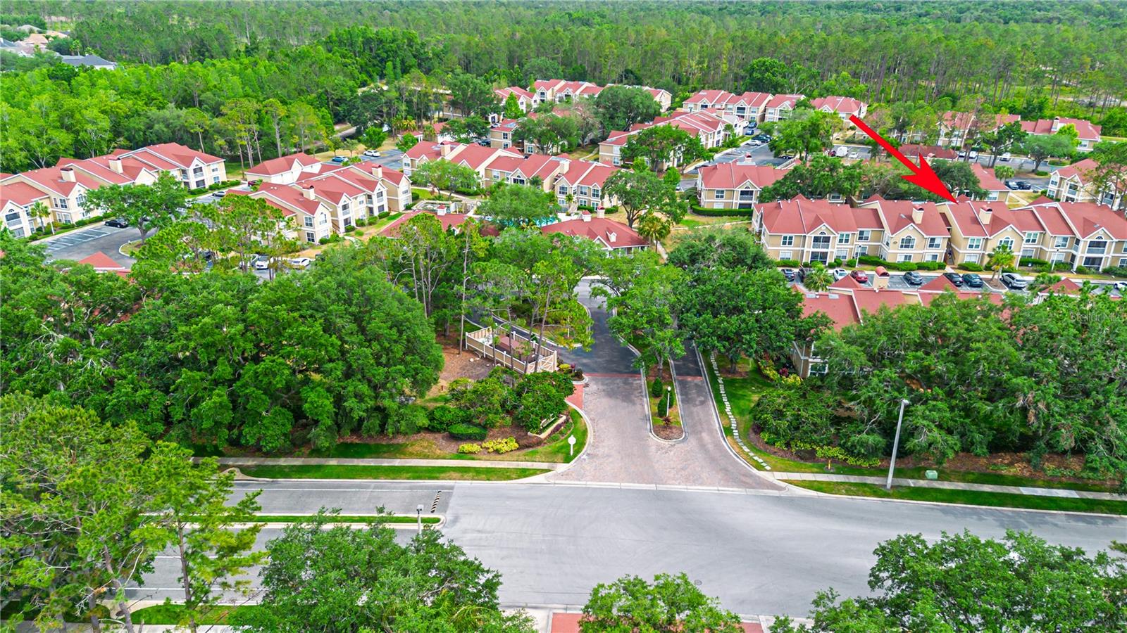 9481 HIGHLAND OAK DR #710, TAMPA, FL, 33647