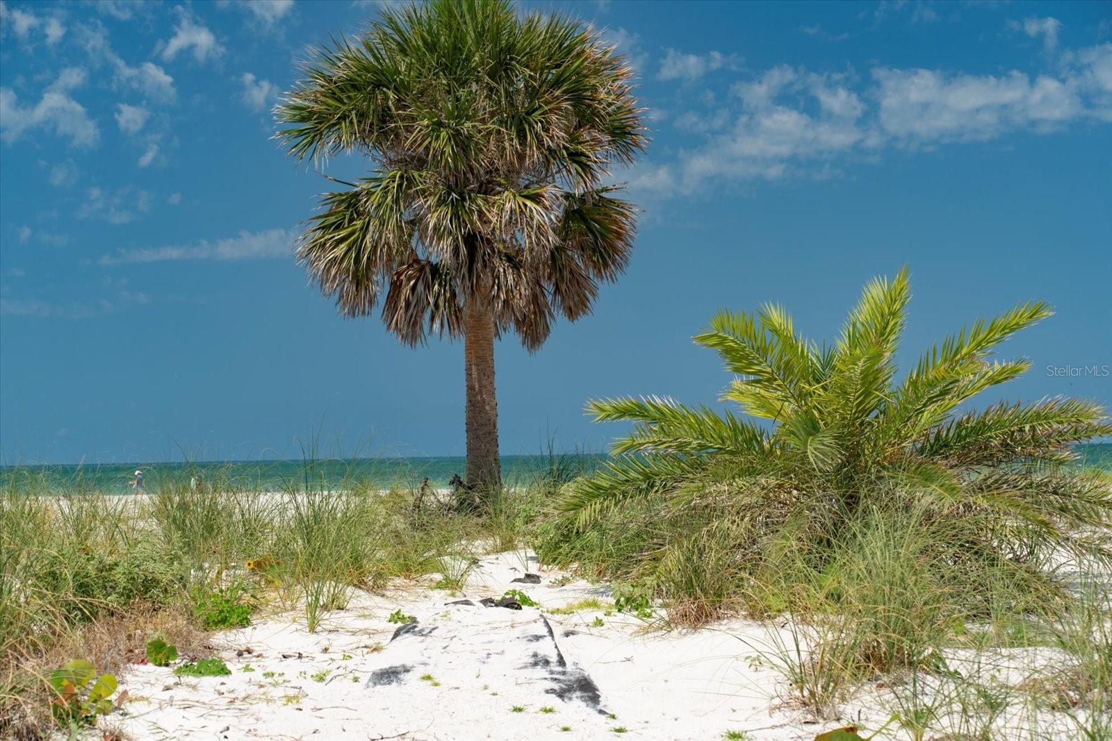 TB8383297 Property Photo