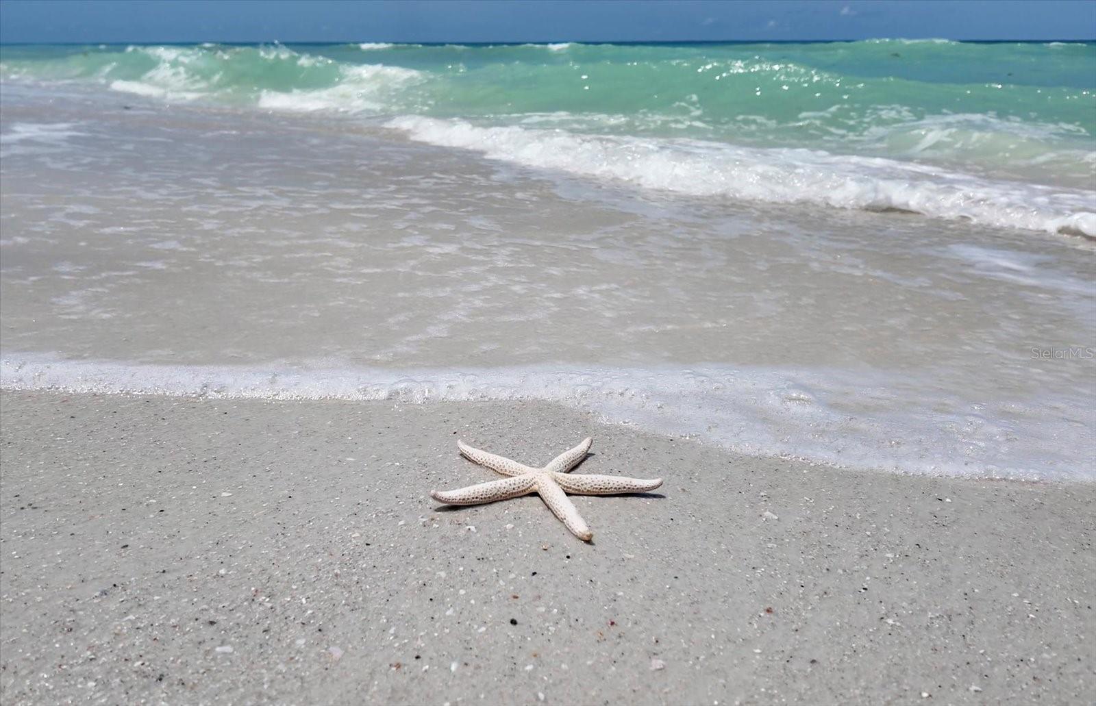 TB8383297 Property Photo