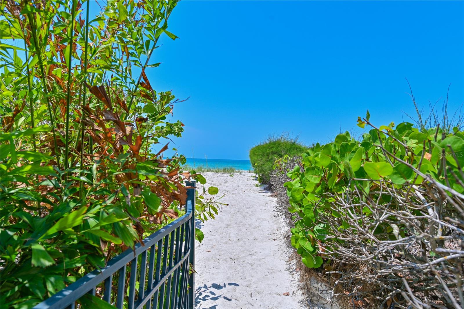 5924 GULF OF MEXICO DR, LONGBOAT KEY, FL, 34228