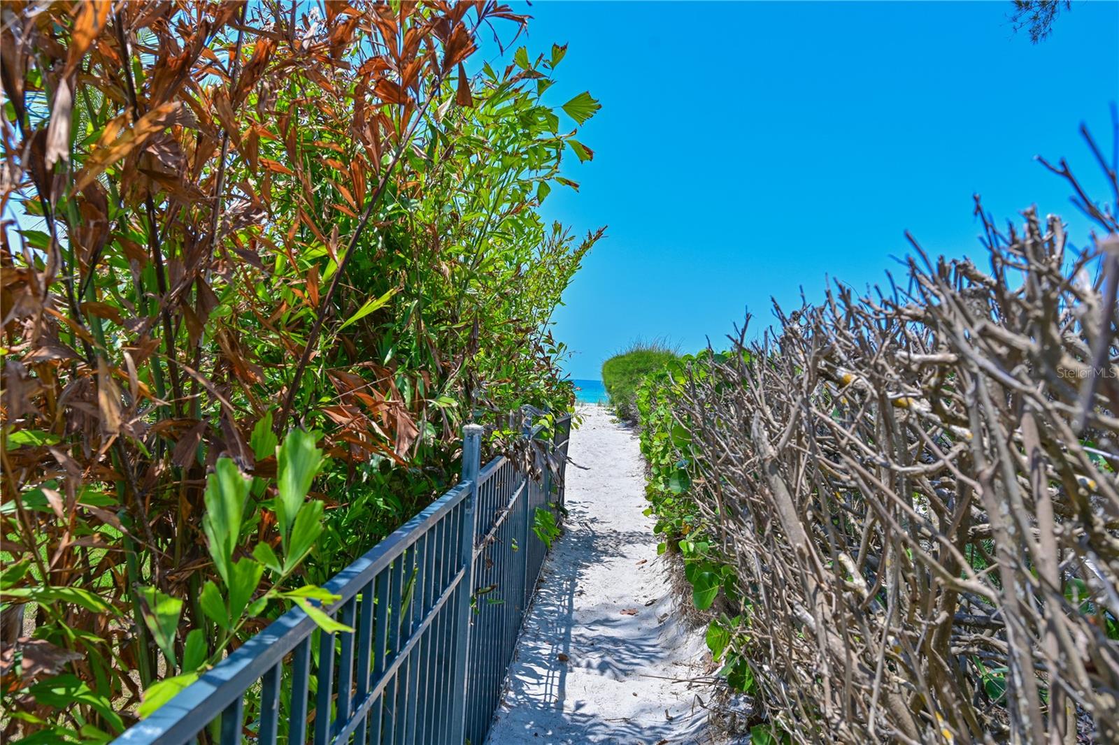 5924 GULF OF MEXICO DR, LONGBOAT KEY, FL, 34228
