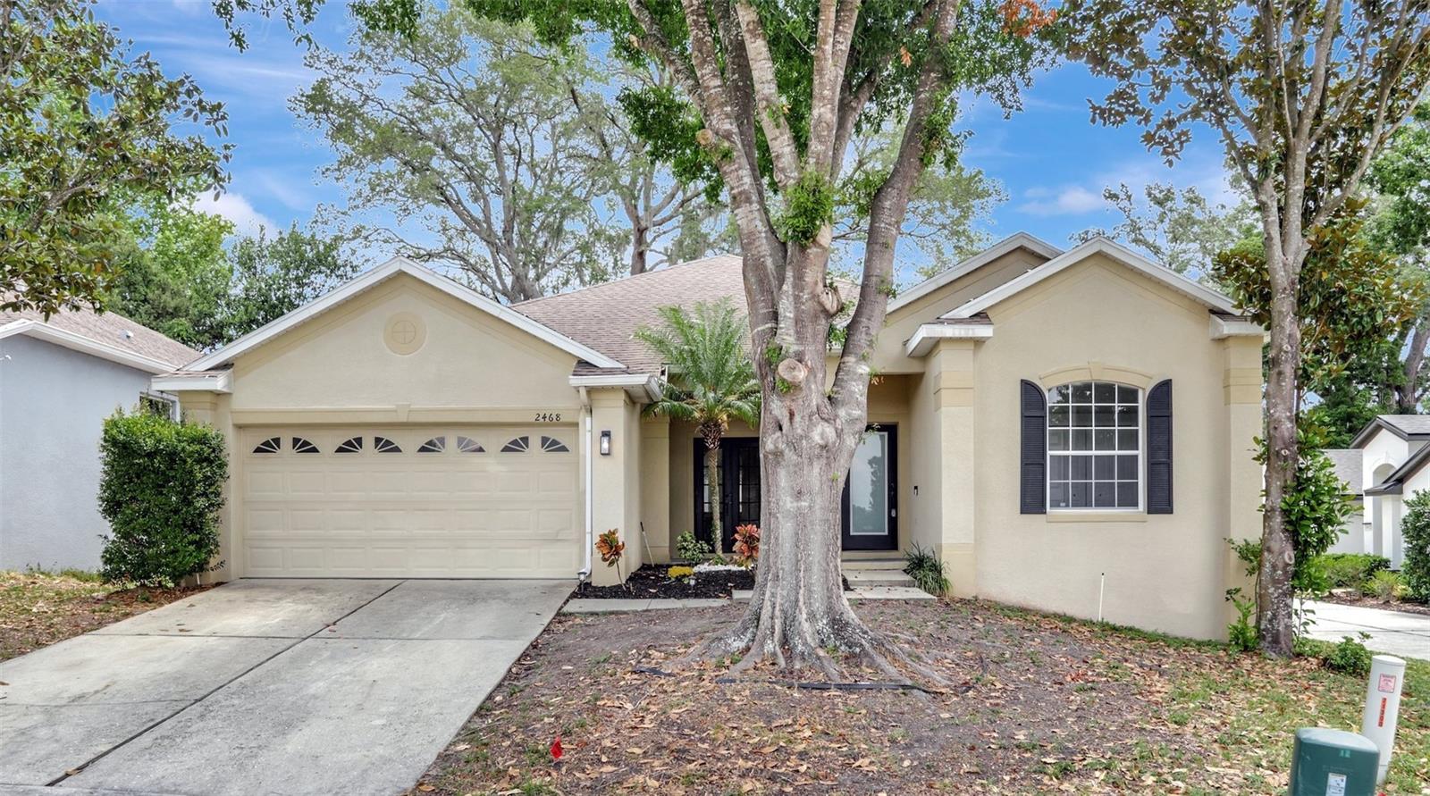 2468 CIMMARON ASH WAY, APOPKA, FL, 32703