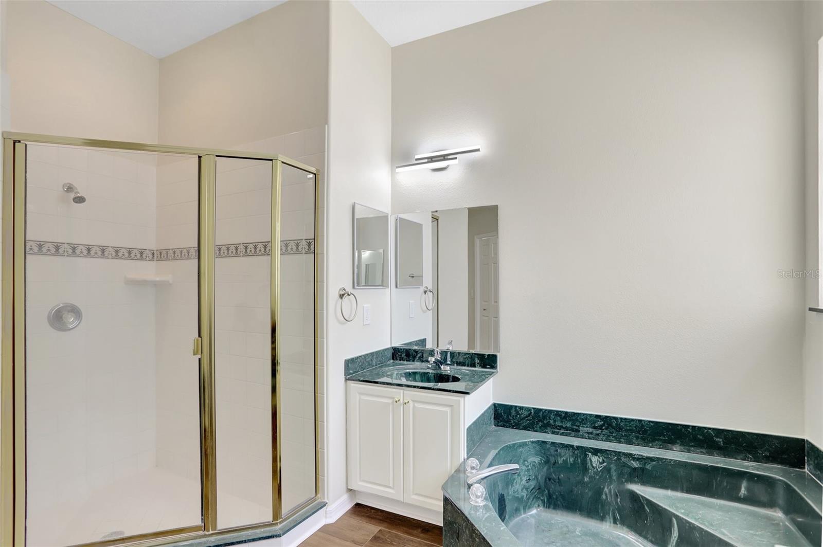 2468 CIMMARON ASH WAY, APOPKA, FL, 32703