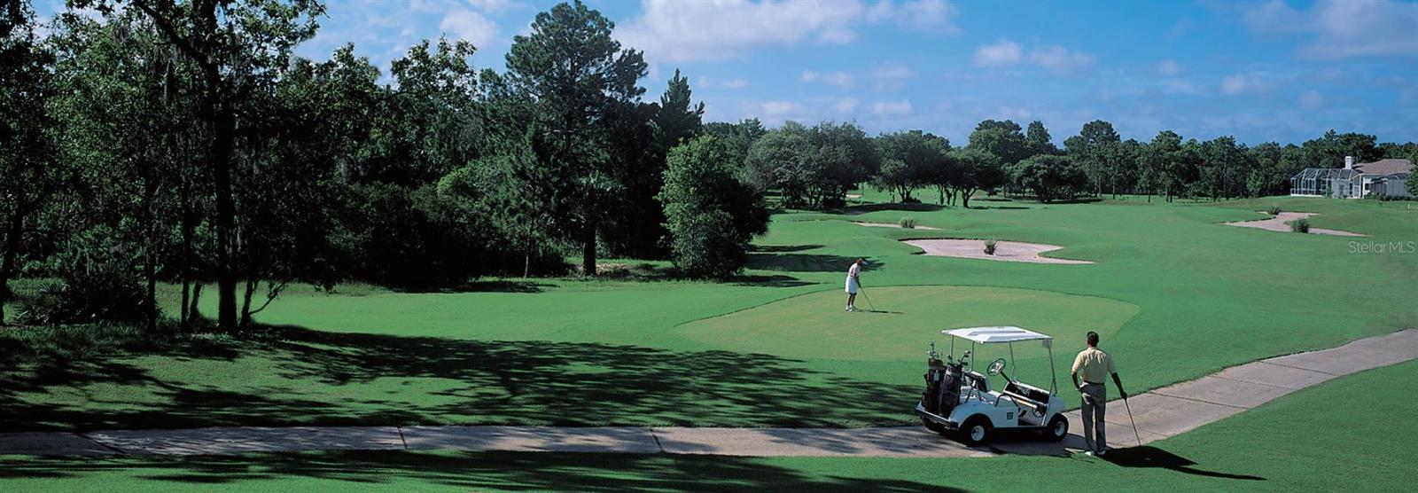 9346 SOUTHERN BELLE DR, WEEKI WACHEE, FL, 34613