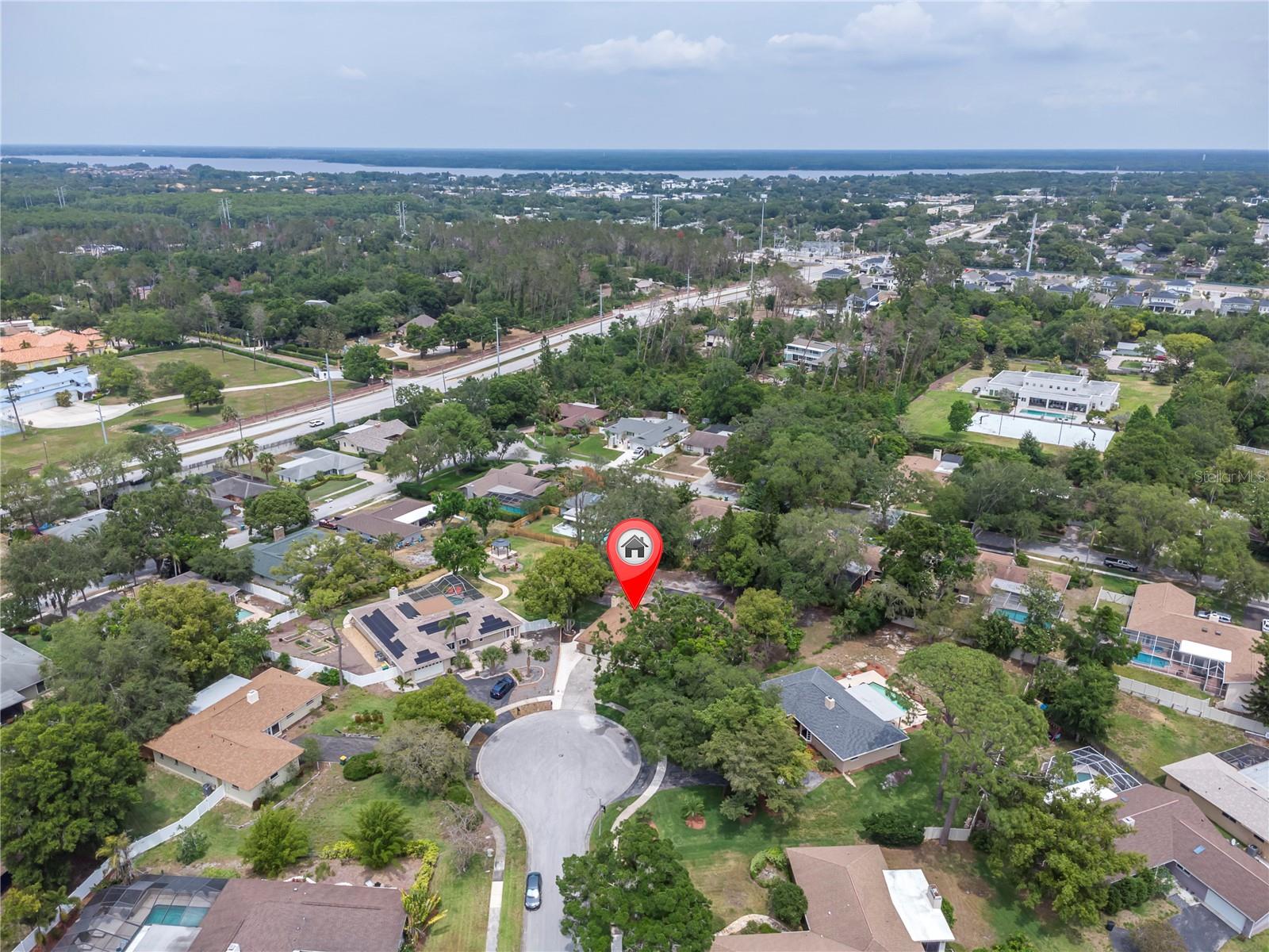 30 PINETREE CT, PALM HARBOR, FL, 34683
