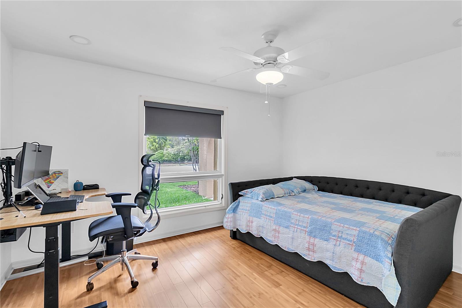 30 PINETREE CT, PALM HARBOR, FL, 34683