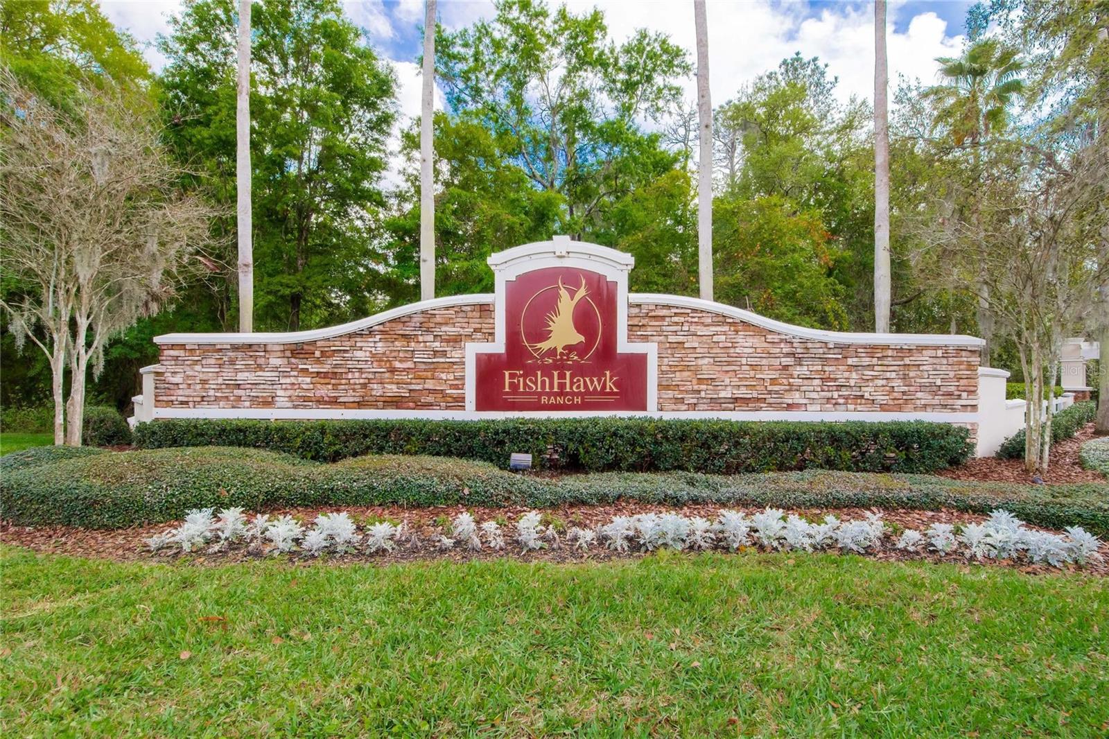 16406 CHAPMAN CROSSING DR, LITHIA, FL, 33547