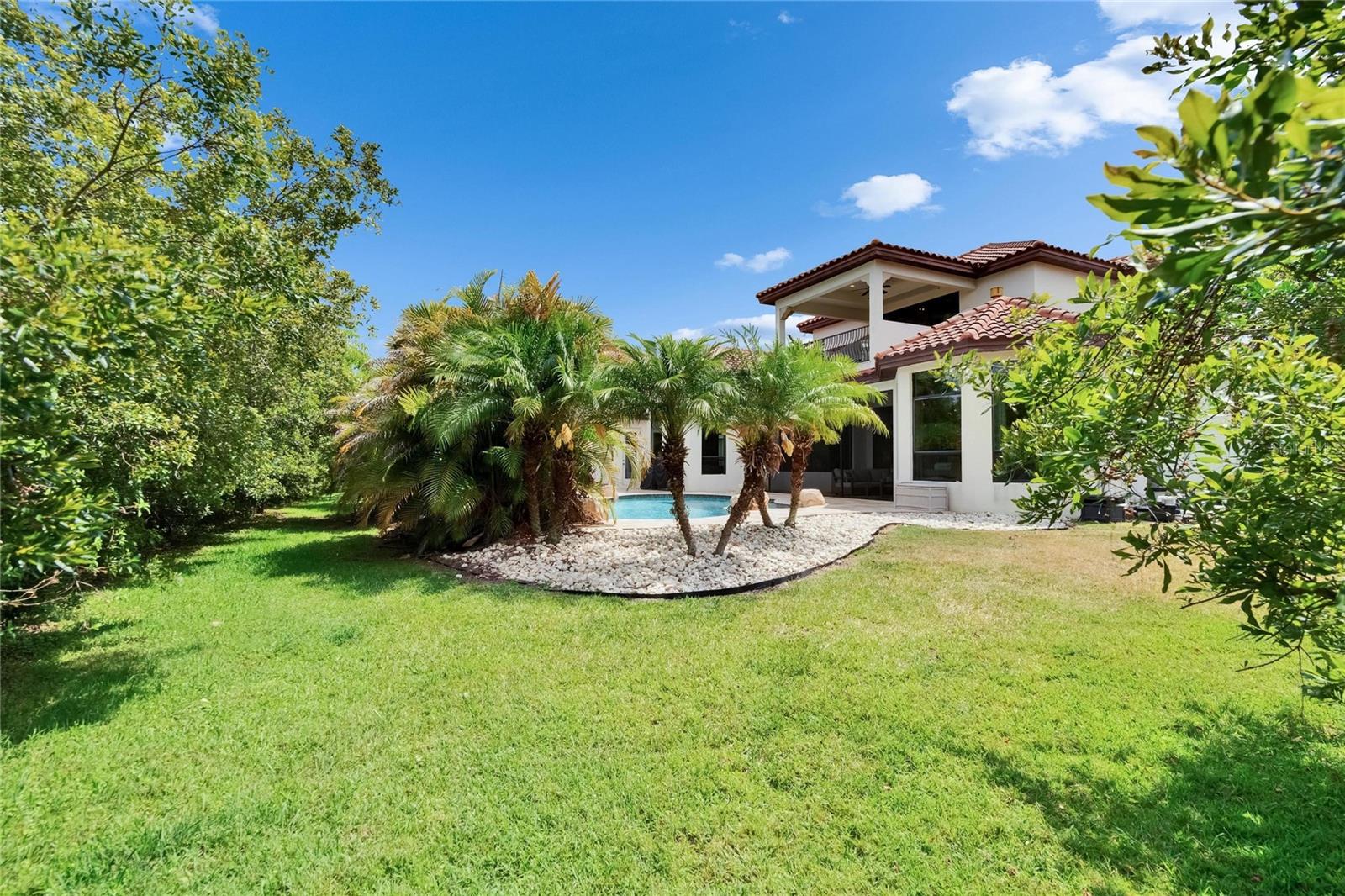 16406 CHAPMAN CROSSING DR, LITHIA, FL, 33547