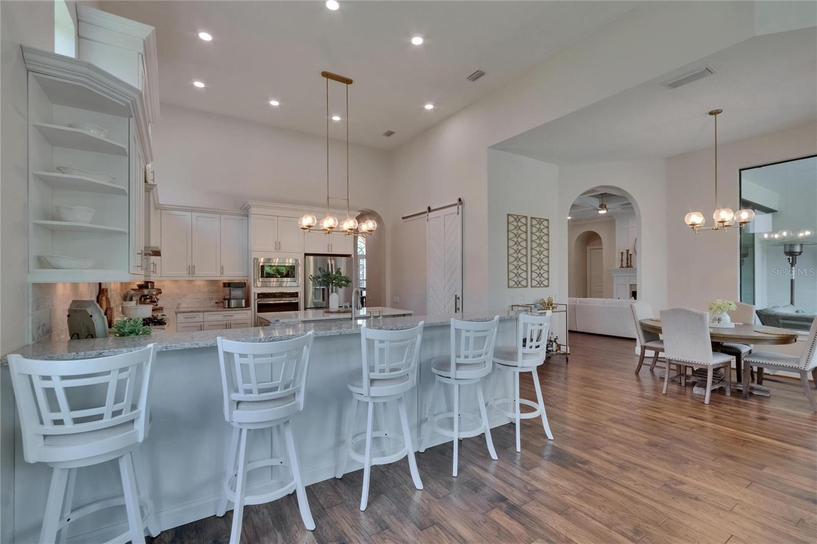 16406 CHAPMAN CROSSING DR, LITHIA, FL, 33547