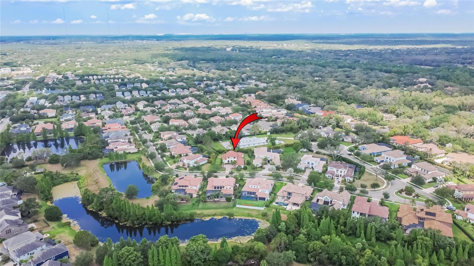 16406 CHAPMAN CROSSING DR, LITHIA, FL, 33547