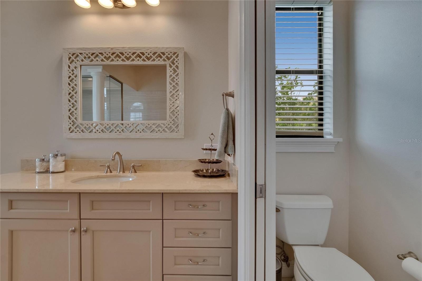 16406 CHAPMAN CROSSING DR, LITHIA, FL, 33547