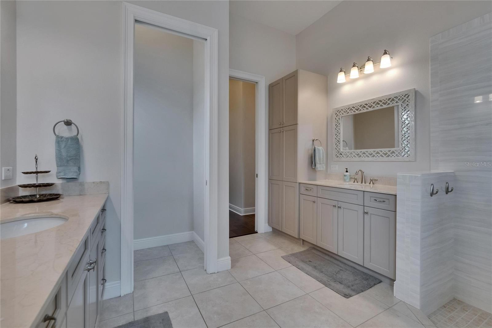 16406 CHAPMAN CROSSING DR, LITHIA, FL, 33547