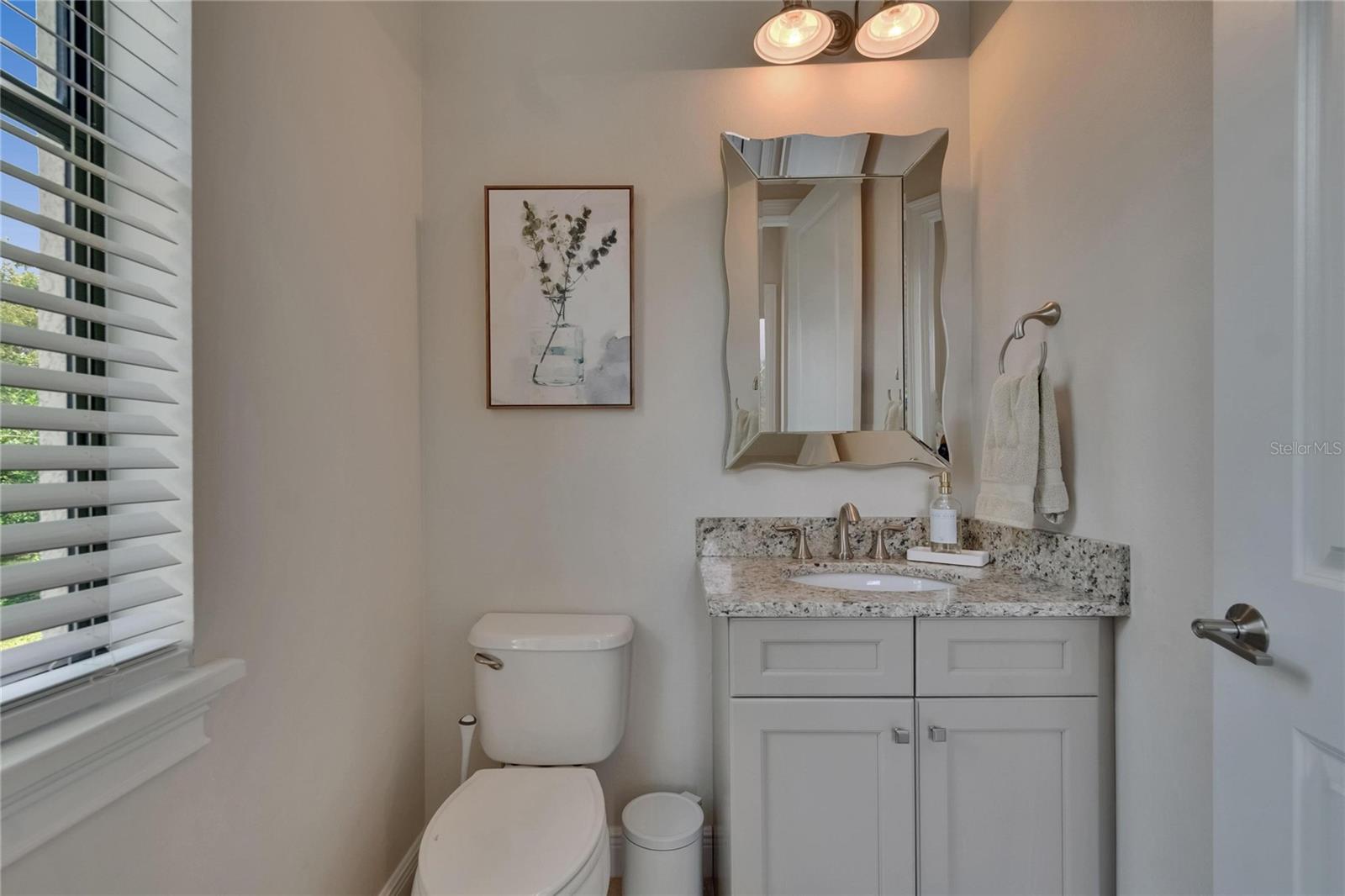 16406 CHAPMAN CROSSING DR, LITHIA, FL, 33547