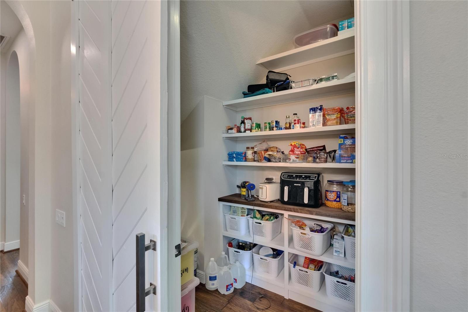 16406 CHAPMAN CROSSING DR, LITHIA, FL, 33547